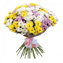 Saf Sevgi Papatya Buketi