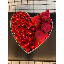 Tatlı Ayıcık Aşkı