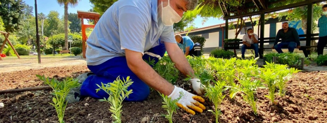 Kışın çiçek bakımında dikkat edilmesi gerekenler