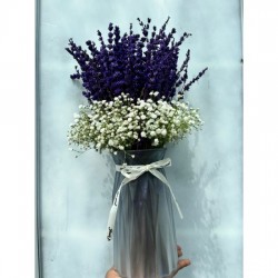 Vazoda Cipso Lavanta