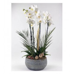 4 Dal Beyaz Orkide Vip Tasarım - Special Serisi