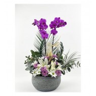 Mor Orkide - Krizantem Ve Lilyum Tasarım Special Serisi