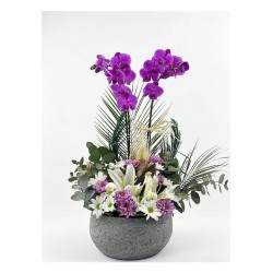 Mor Orkide - Krizantem Ve Lilyum Tasarım Special Serisi