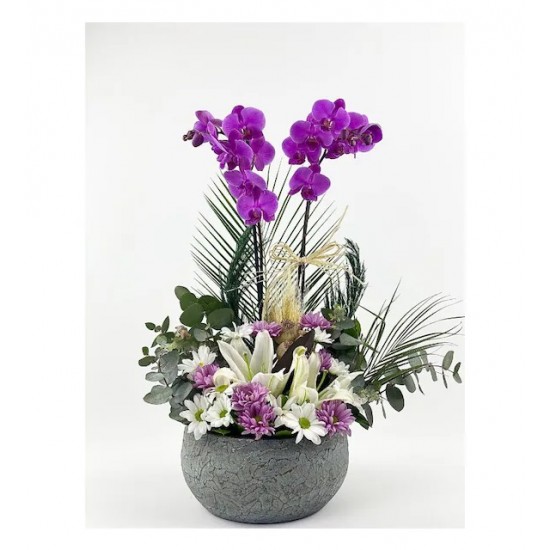 Mor Orkide - Krizantem Ve Lilyum Tasarım Special Serisi