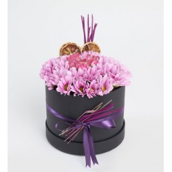 Siyah Kutuda Pembe Kasımpatı