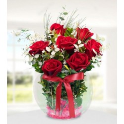 Akvaryumda 7 Kırmızı Gül