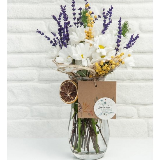 Vazoda Papatya Aşkı